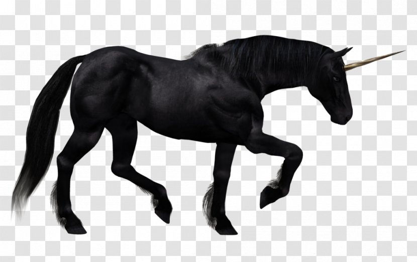 The Black Unicorn Pegasus Horse - Stallion Transparent PNG
