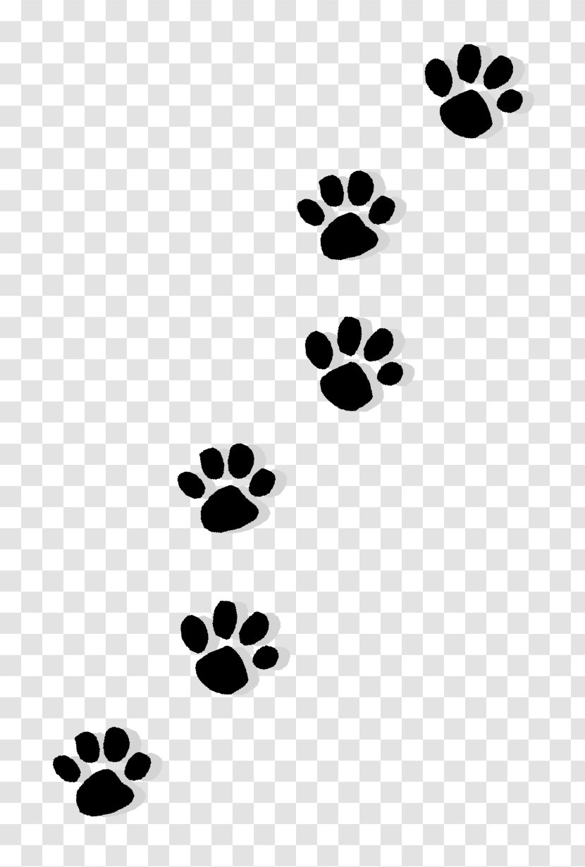Cat Puppy Dachshund Paw Printing - Pet - Claws Transparent PNG