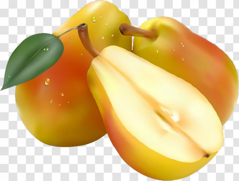 Fruit Clip Art - Food - Pear Transparent PNG