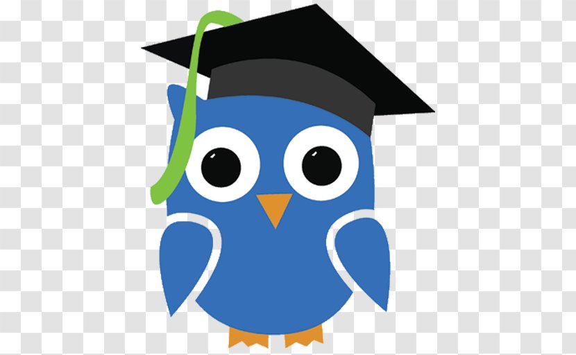 Google Play Mobile App Education Scholar - Experience - Owl Graduate Transparent PNG