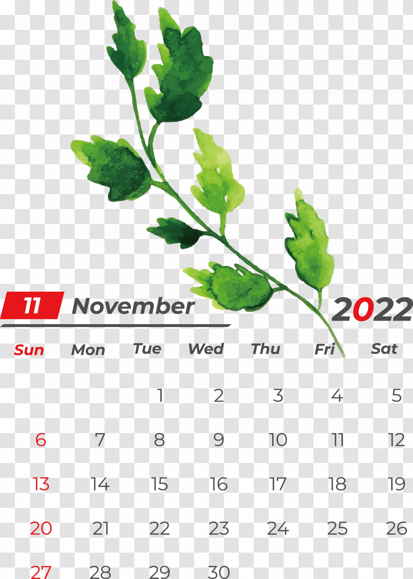 Leaf Calendar Font Tree Meter Transparent PNG