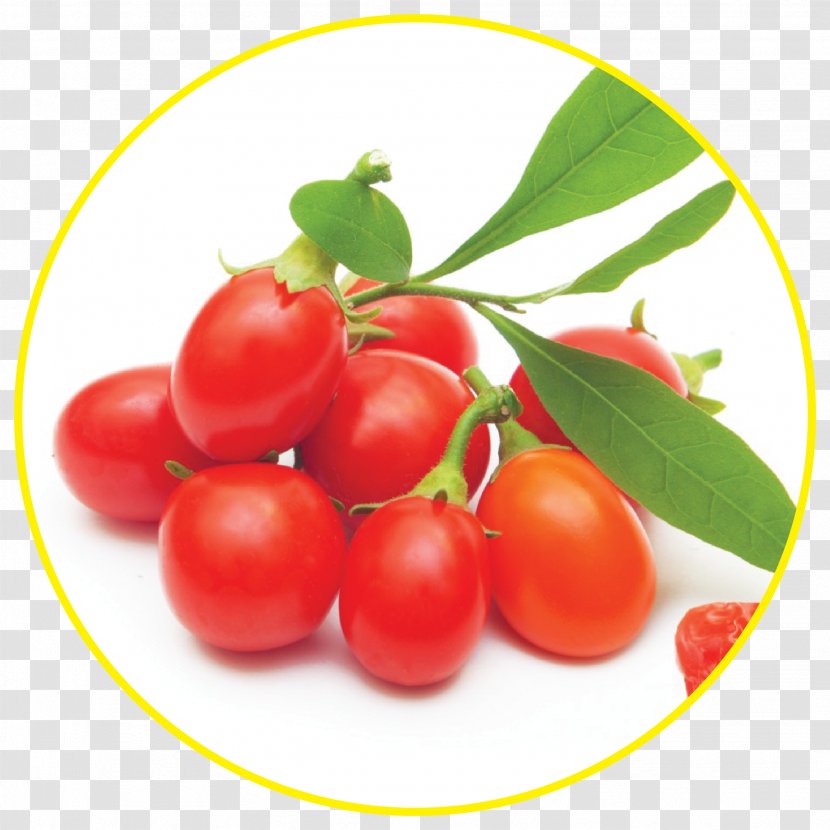 Goji Berry Superfood Matrimony Vine - Plum Tomato - GOJIBERRY Transparent PNG