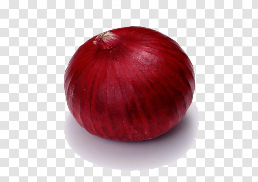 Dolma Onion U0635u06ccu0641u06ccu200cu062cu0627u062a Auglis Food - Red - Purple Transparent PNG