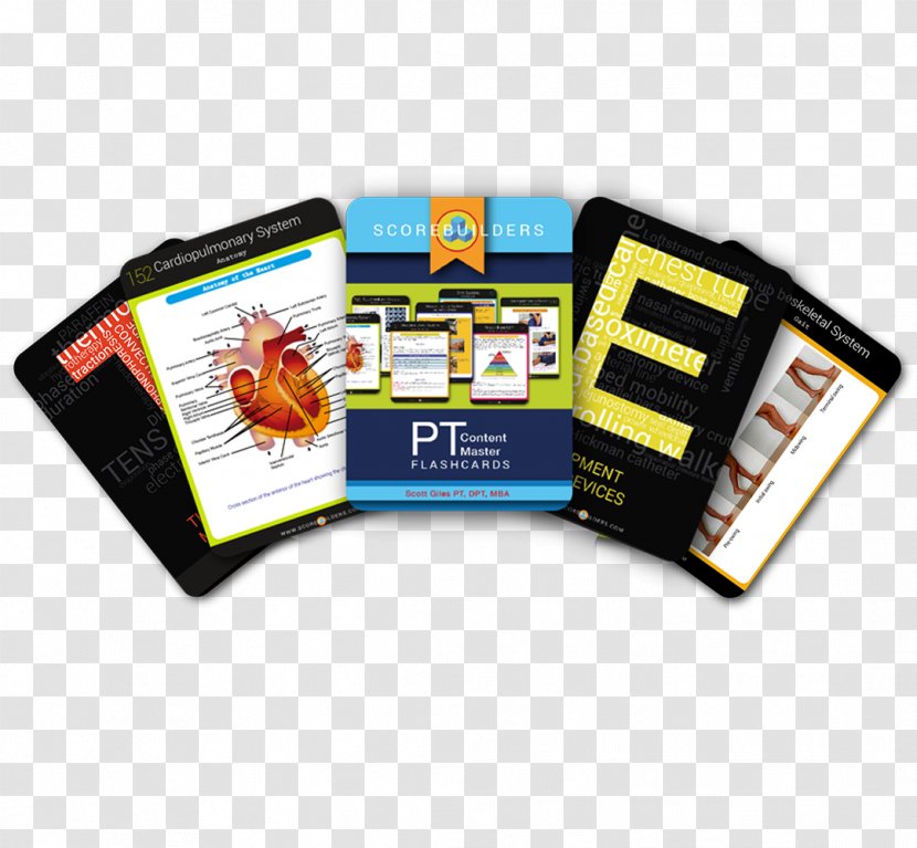 Scorebuilders Flashcard Index Cards 2010 Ford Edge Parent-Teacher Association - Silhouette - Span Of Control Transparent PNG