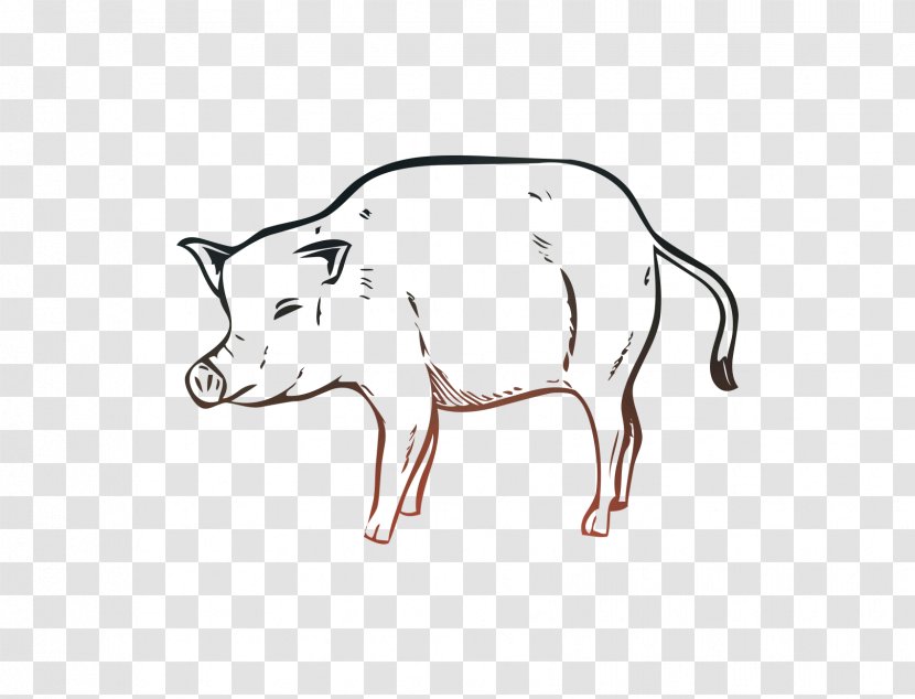 Pig Cattle Clip Art Line Cartoon - Wildlife Transparent PNG