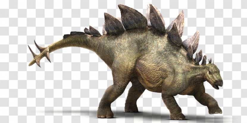 Stegosaurus Tyrannosaurus Jurassic Park Ankylosaurus Dinosaur - Indominus Rex - World Transparent PNG