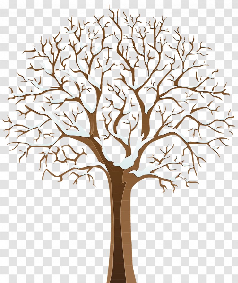 Tree Trunk Drawing - Branch - Oak Flower Transparent PNG