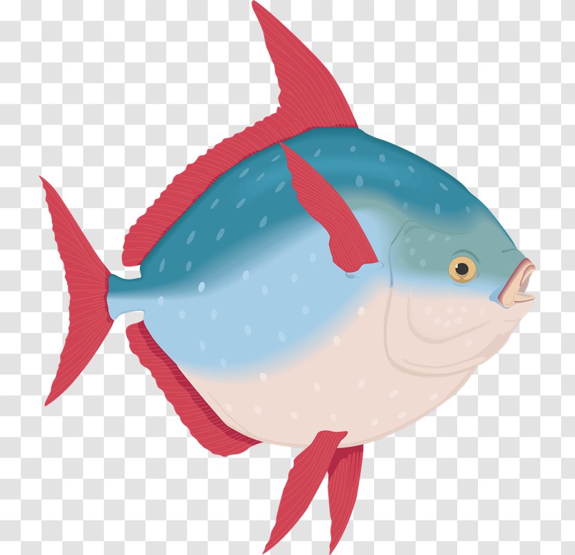 Ocean Sunfish Animal Malayalam - Bony Fish Transparent PNG