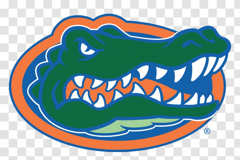 University Of Florida Gators Men's Basketball Football Women's Lacrosse - Artwork - Hooters Logo Transparent PNG