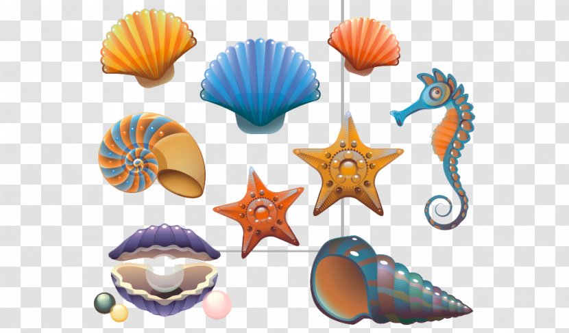 Seashell Mollusc Shell Drawing Illustration - Pearl - Starfish Transparent PNG