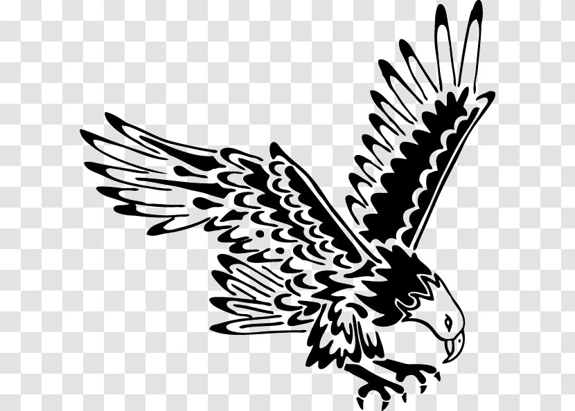 Bald Eagle Tattoo Black-and-white Hawk-eagle Feather Law - Wing Transparent PNG