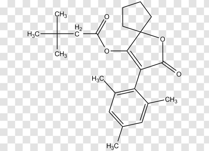 /m/02csf Levocarnitine Drawing - Rectangle - Fen Vector Transparent PNG