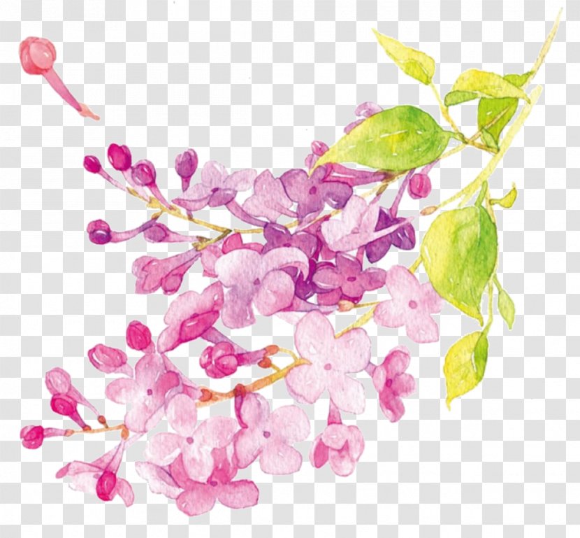 Watercolor Painting Flower Illustration - Purple Lilac Transparent PNG