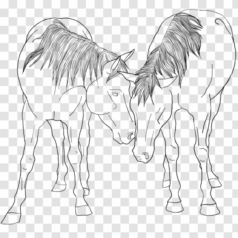 Mane Foal Mule Bridle Stallion - Horse Supplies - Mustang Transparent PNG