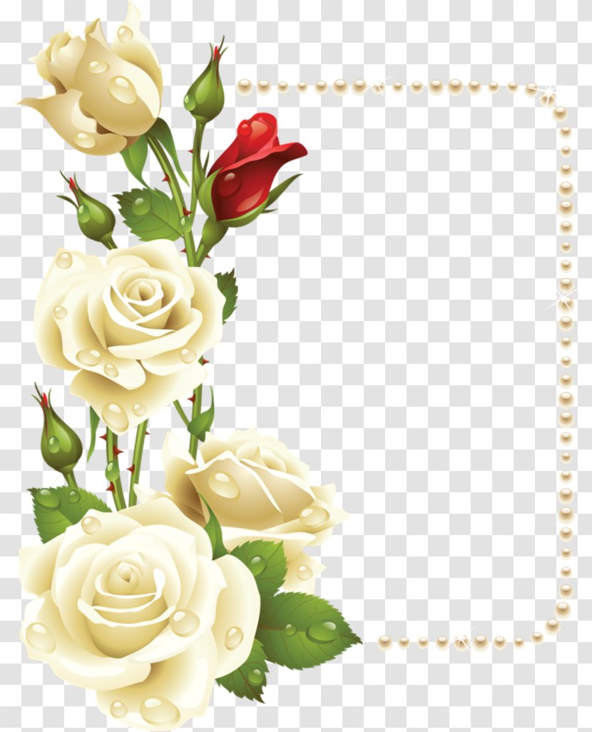 Rose Painting Flower Picture Frames Clip Art - Floral Design - Peach Flowers Transparent PNG
