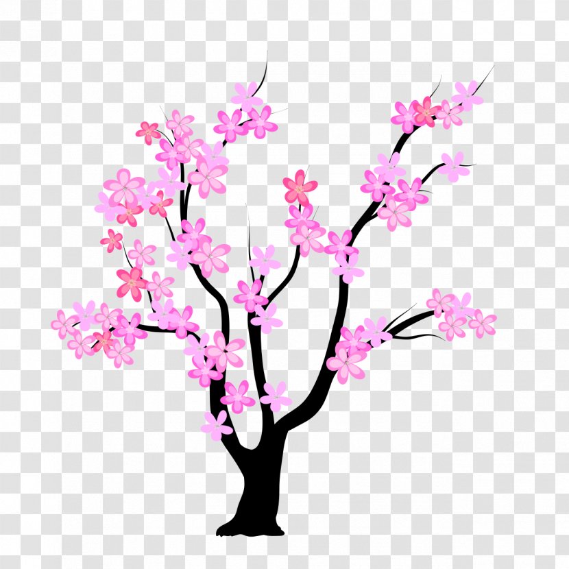 Vector Graphics Clip Art Tree Image Illustration - Woody Plant - Peach Blossom Transparent PNG