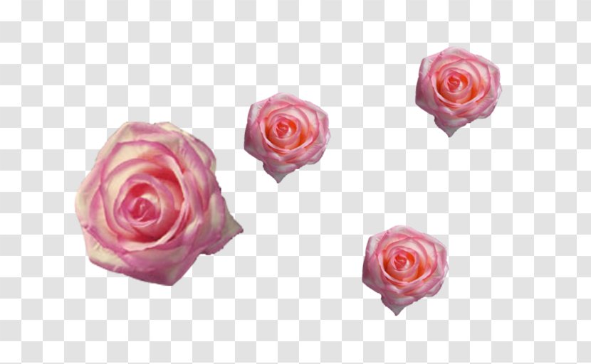 Pink Flower Cartoon - Cut Flowers - Japanese Camellia Transparent PNG