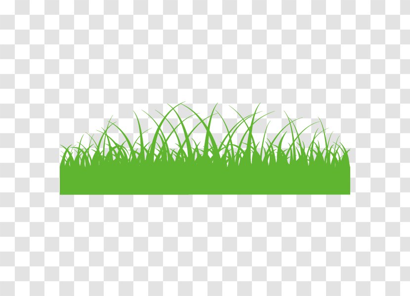 Commodity Product Design Grasses Angle - Text Transparent PNG