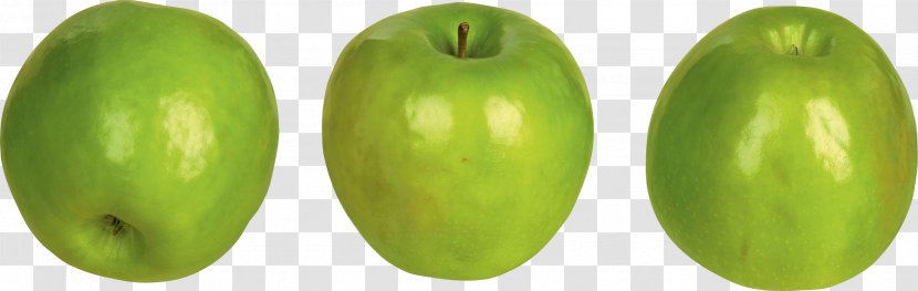 Apple Vegetable - Fruit - Green Apples Transparent PNG