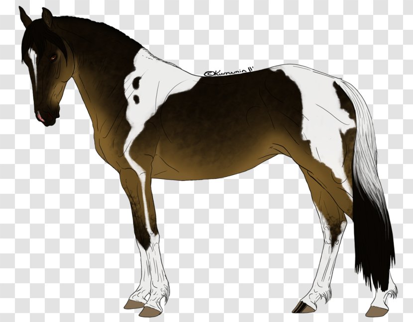 Mane Foal Stallion Rein Western Pleasure - Neck - Refusing To Cheat And Discipline Transparent PNG