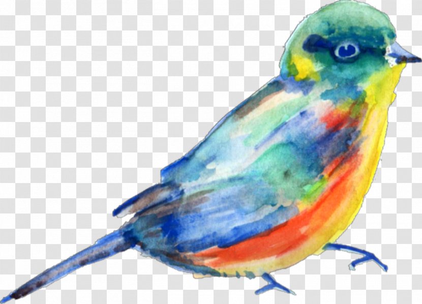 Clip Art Watercolor Painting Bird Finches Beak - Birds img Transparent PNG