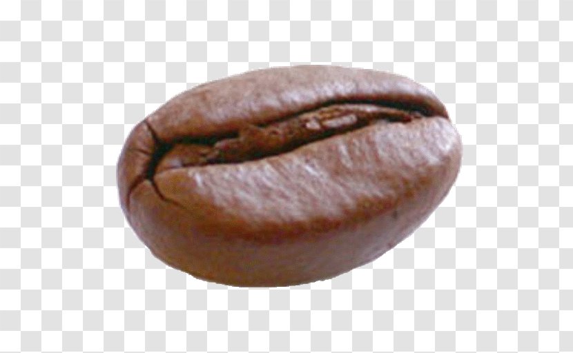 Coffee Bean Espresso Kopi Luwak Cafe - Beans Transparent PNG