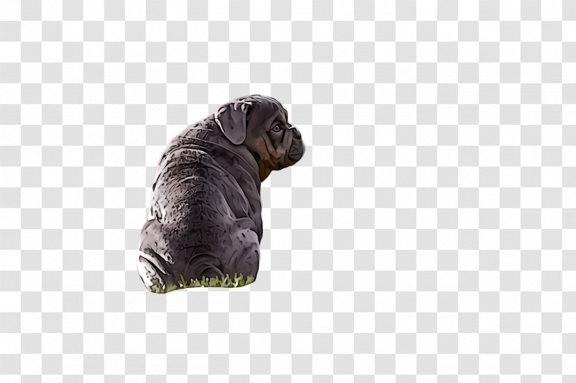 Shar Pei Dog Puppy Sporting Group Non-sporting Group Transparent PNG