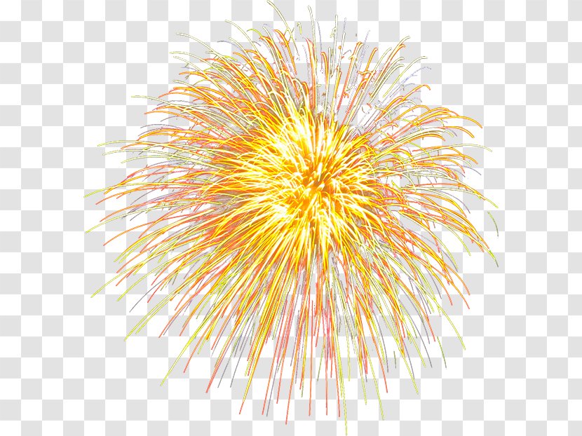 Le Nouvel An Chinois Fireworks Chinese New Year Transparent PNG