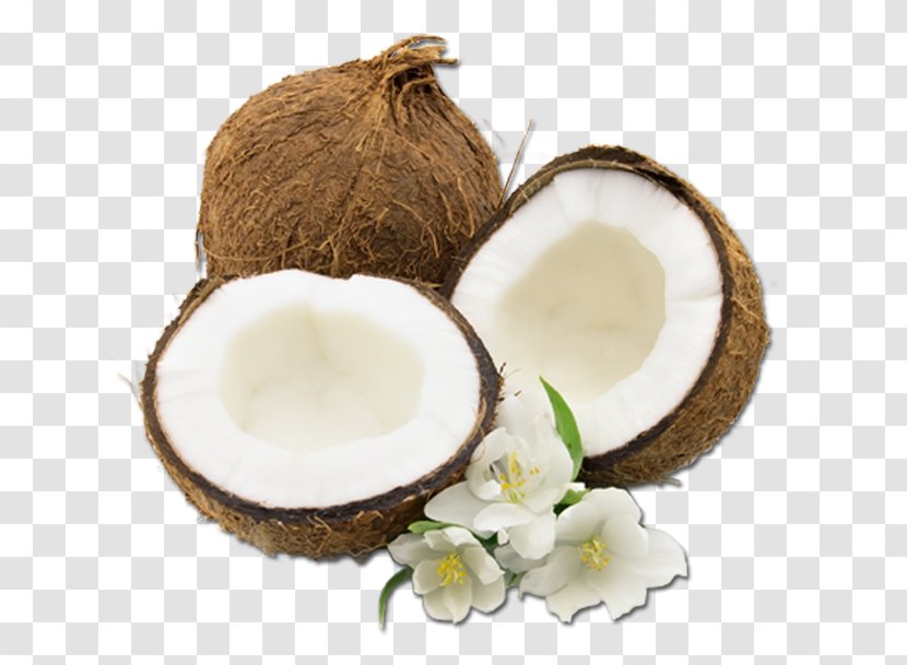 Palm Trees - Coconut Water - Plant Juice Transparent PNG
