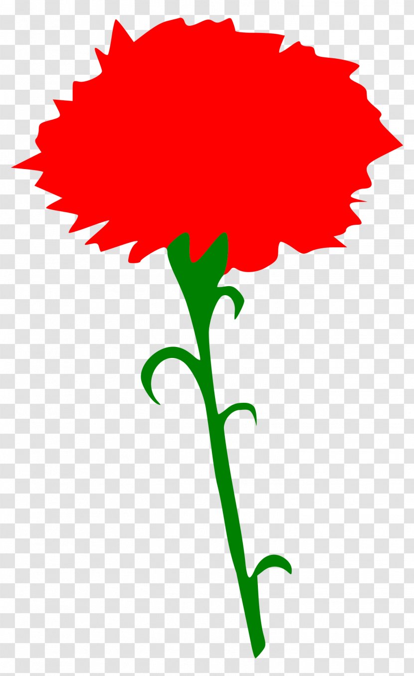 Carnation Woman Clip Art - Flora - Rose Womens Day Transparent PNG