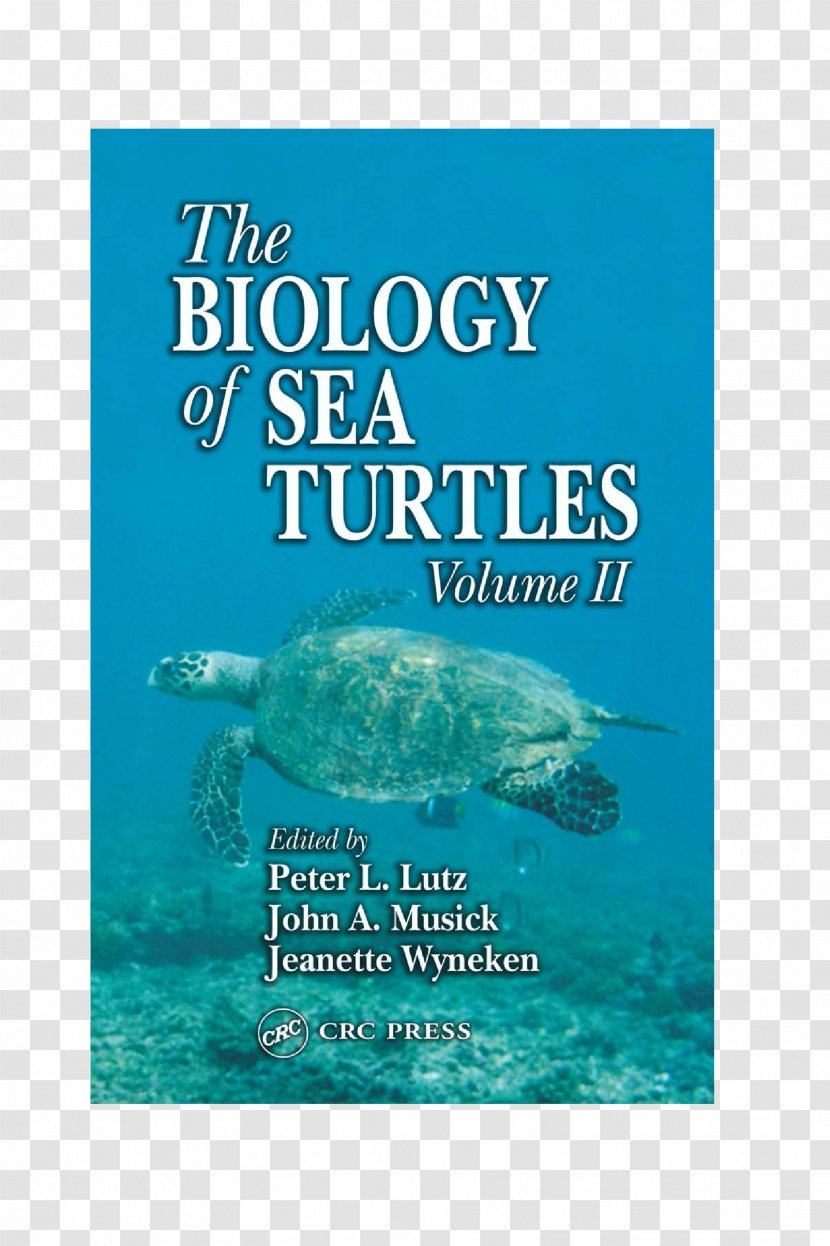 The Biology Of Sea Turtles Marine - Organism - Turtle Transparent PNG