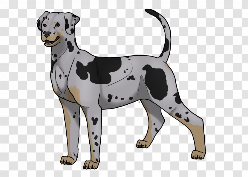 Dalmatian Dog Breed Non-sporting Group Paw - Animated Cartoon - Blair Brown Transparent PNG