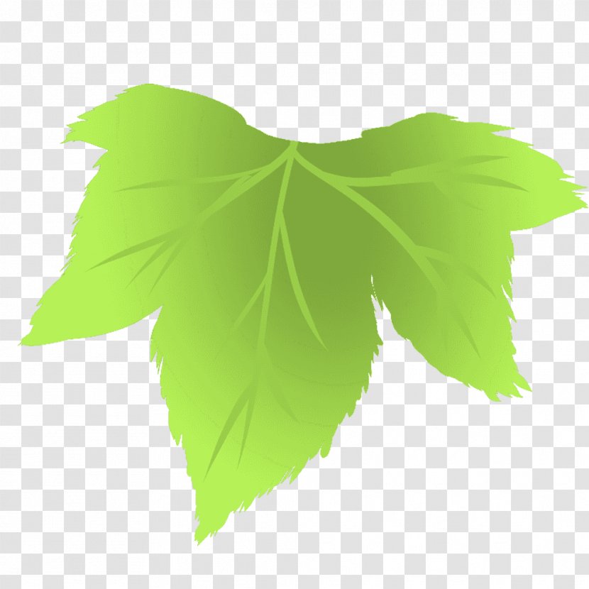 Leaf Line Tree - Green - Budou Transparent PNG