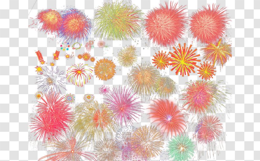 Petal Pink - Flower - Fireworks Transparent PNG