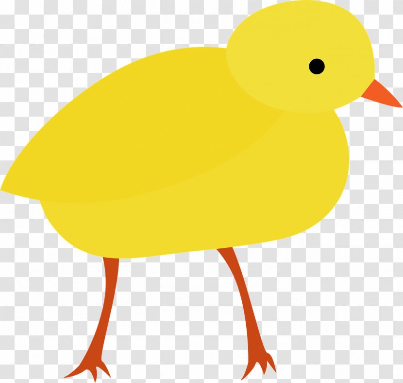 Chicken Animation Clip Art - Fauna - Bird Transparent PNG