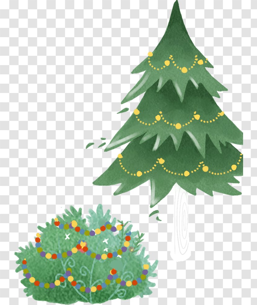 Christmas Tree - Pine Family - Green Transparent PNG