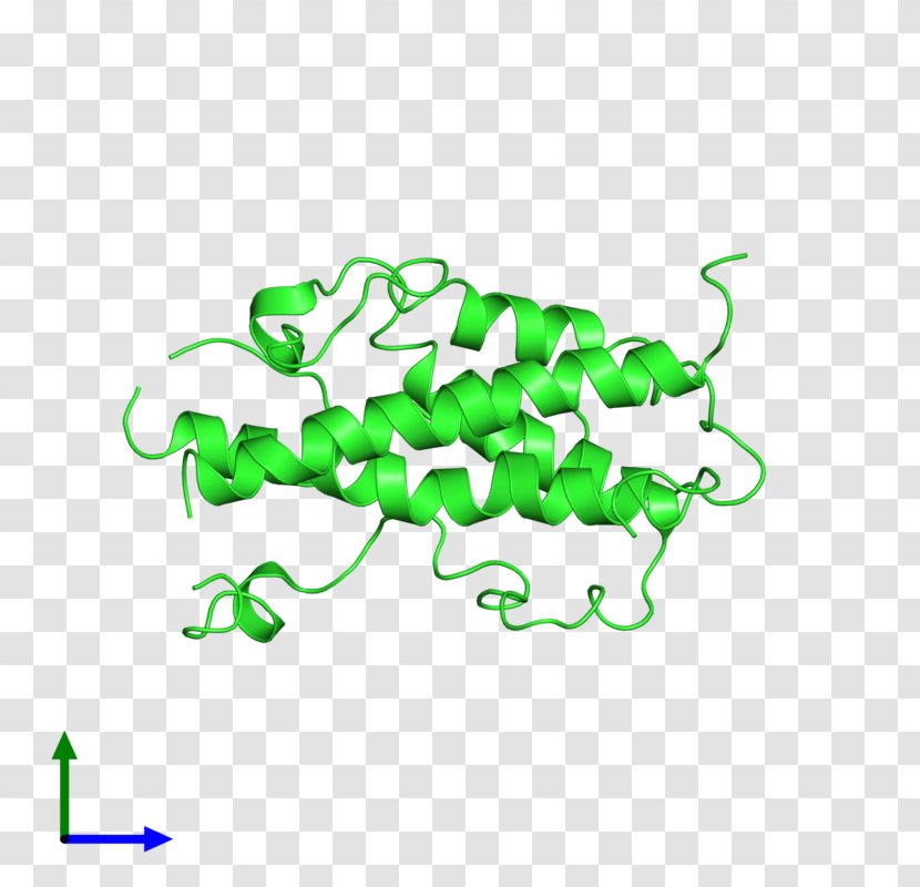 Green Clip Art - Design Transparent PNG