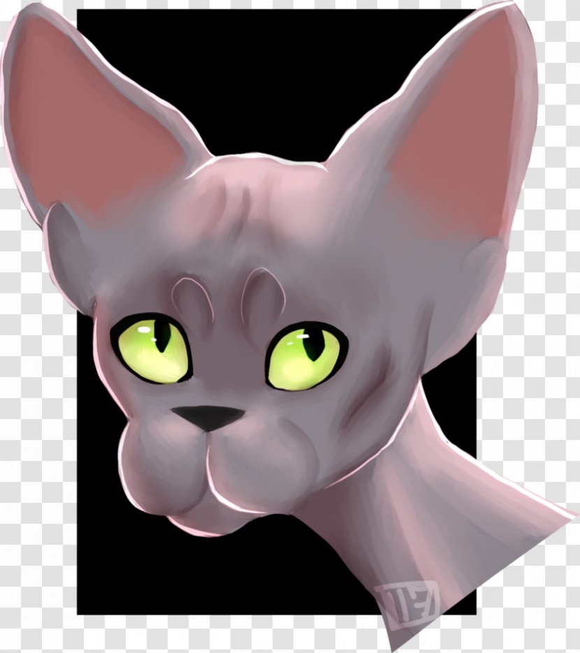 Whiskers Kitten Domestic Short-haired Cat Snout - Animated Cartoon Transparent PNG