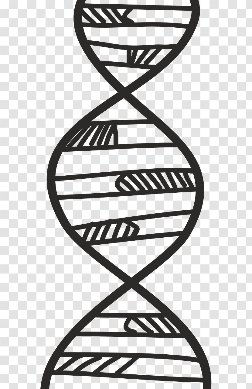 DNA Genetics Biology Science Biochemistry - Dna Transparent PNG