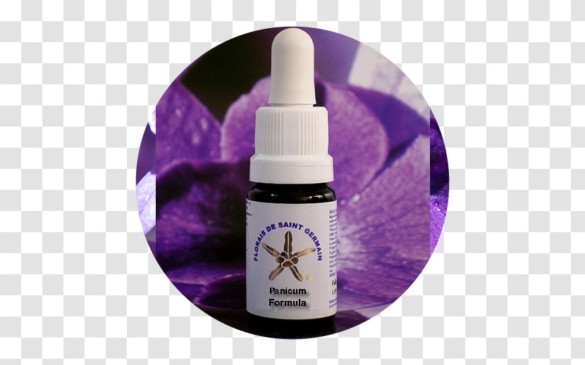 Bach Flower Remedies Health Therapy Fear Stress - Violet Transparent PNG