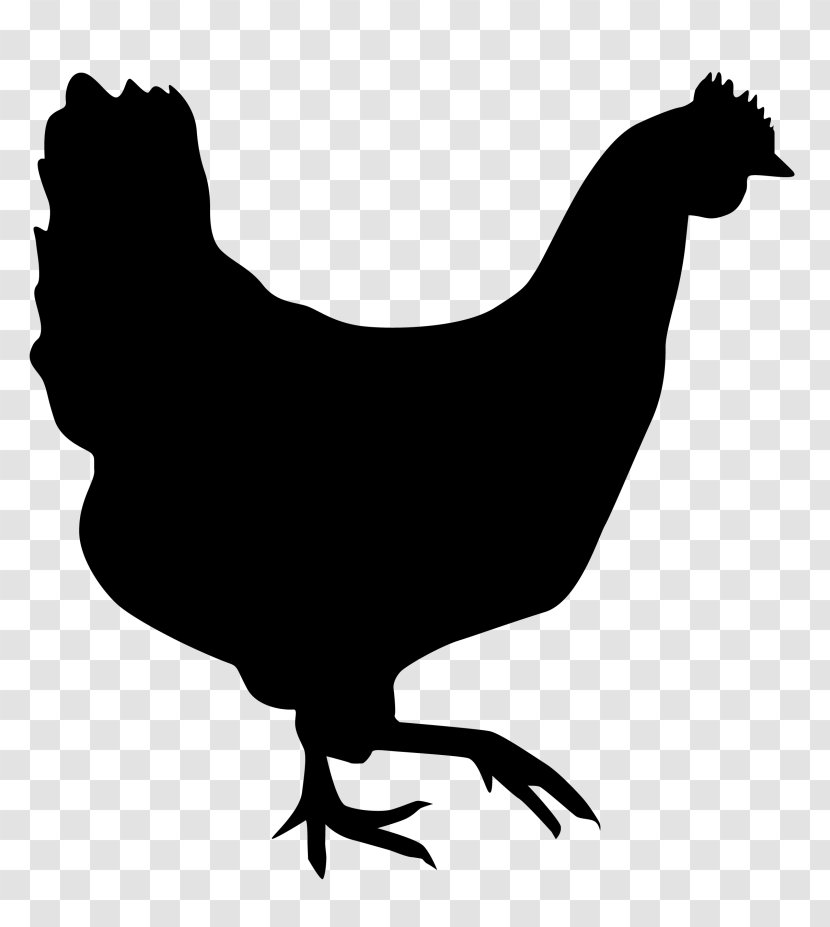 Rooster Chicken Silhouette Hen Drawing Transparent PNG