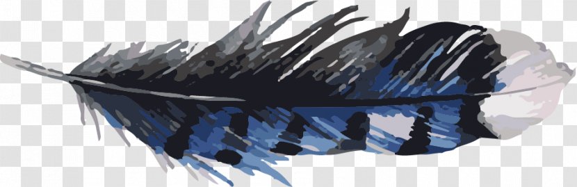 Feather - Black - Blue Transparent PNG