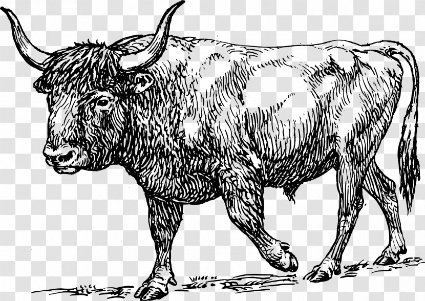Aurochs Texas Longhorn Bull Clip Art - Mammal - Paper-cut Clipart Transparent PNG