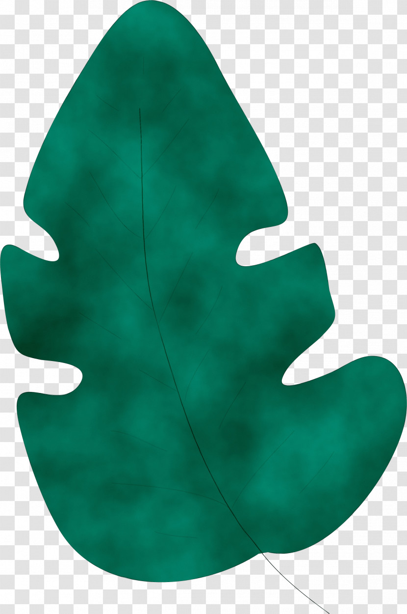 Leaf Green M-tree Tree Science Transparent PNG