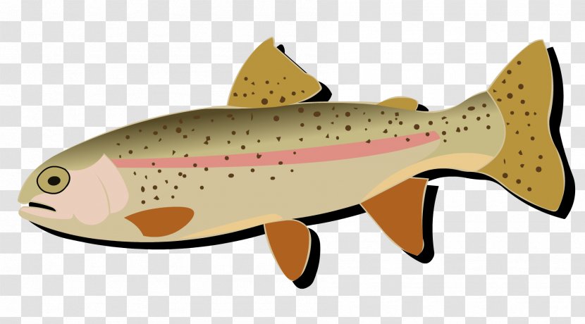 Salmon Cutthroat Trout Rainbow Fish - Fishing Scene Transparent PNG