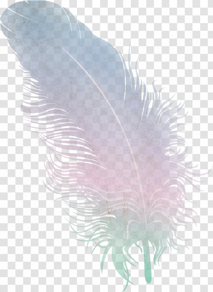 Feather Wing - Material Transparent PNG