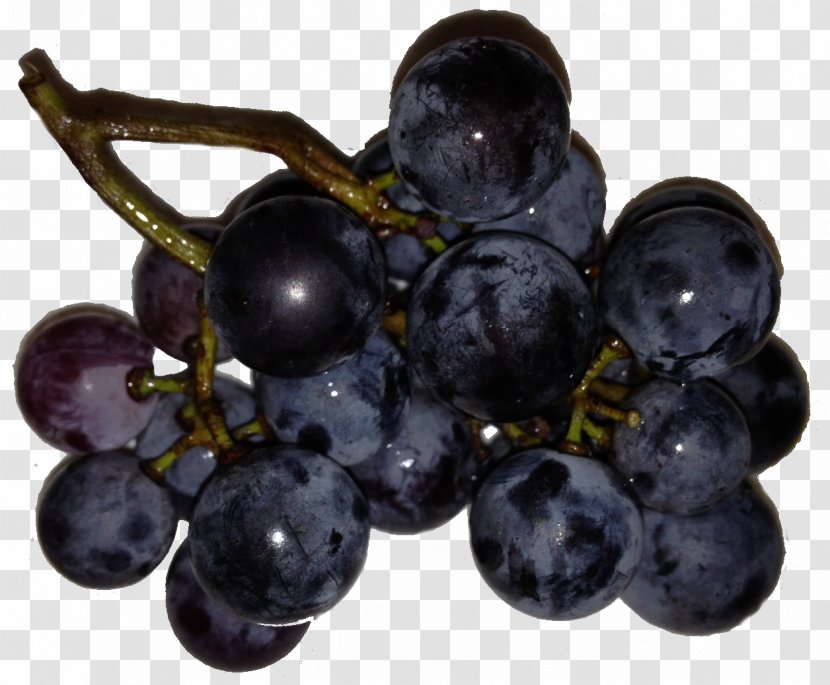 Zante Currant Grapevines Seedless Fruit Blueberry - Grape Transparent PNG