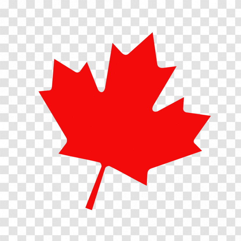 Maple Leaf Transparent PNG