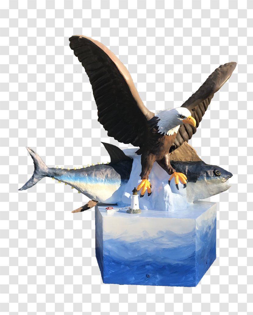 Sea Eagle Chunky's Cinema Pub Water Bird - Ducks Geese And Swans Transparent PNG