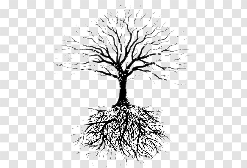 Fruit Tree Root Drawing Faribault Evangelical Free Church - Idea Transparent PNG